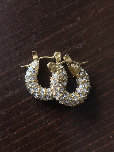 Customer photo review of Boa Hoops