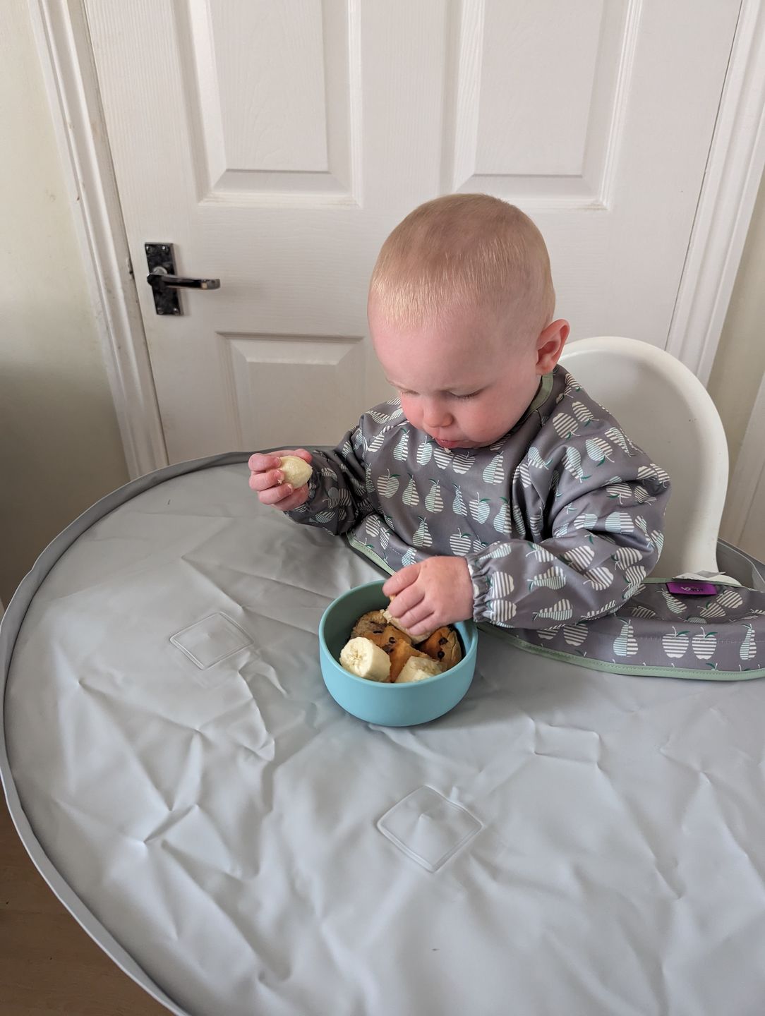 Customer photo review of Bib & Tray Kit