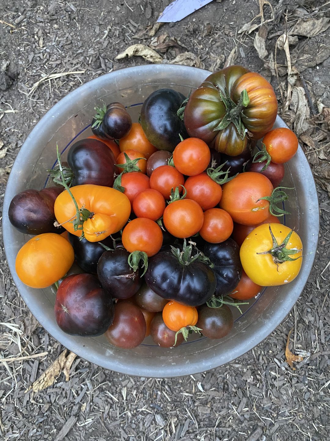 Customer photo review of BierKashi Bokashi 5 to 50 lbs