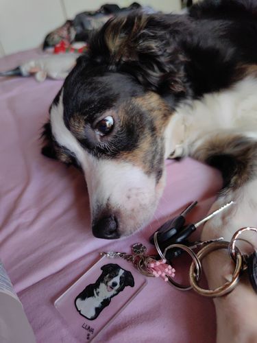 Customer photo review of Μπρελόκ με το Δικό σας Κατοικίδιο