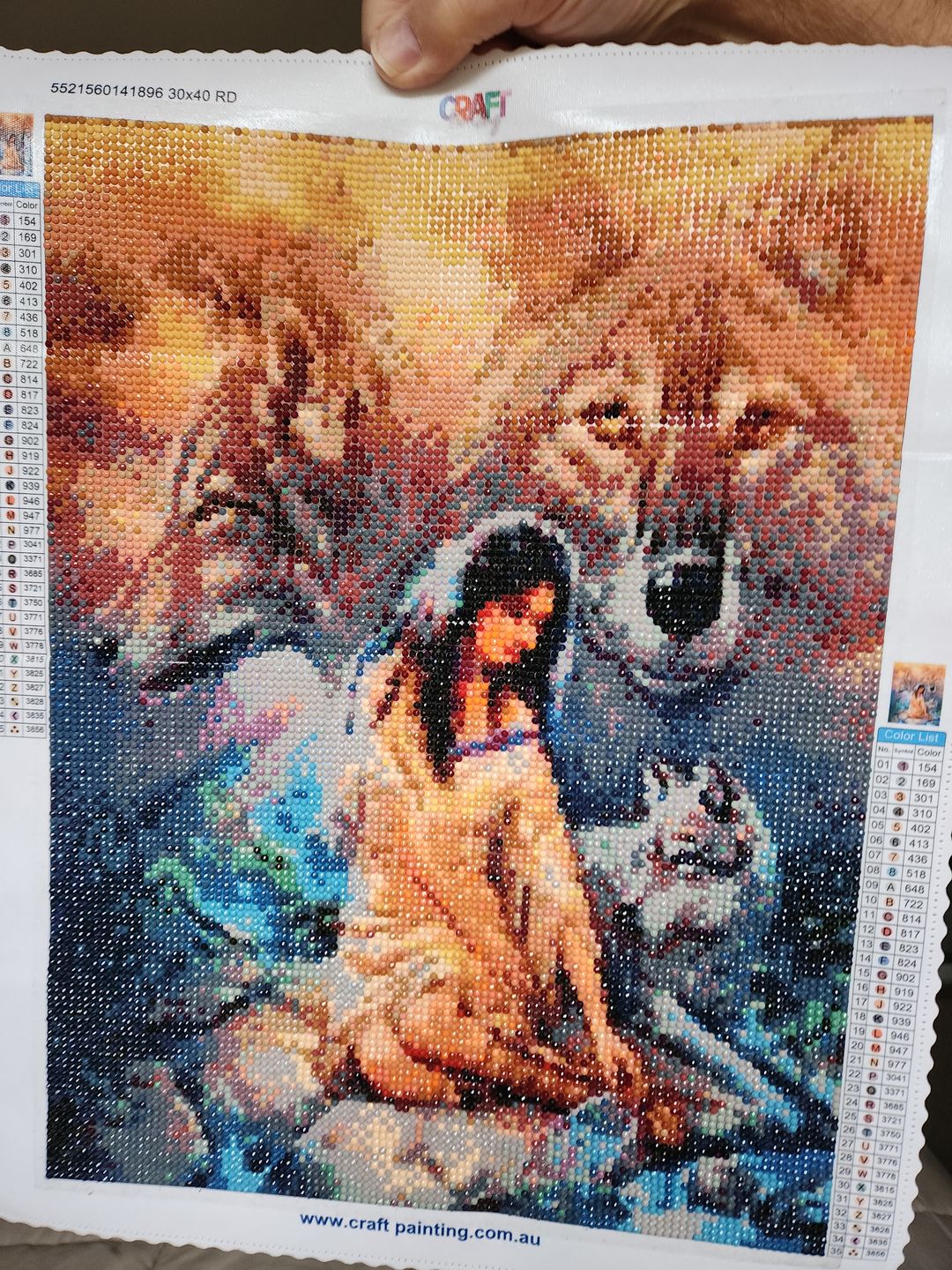Customer photo review of Full Drill - 5D Diamond Painting Kits Watercolored Beauty And Animal Wolf