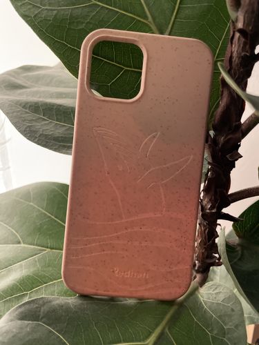 Customer photo review of Mystery Case