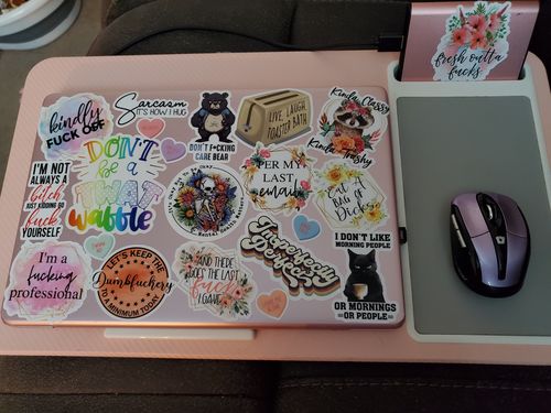 Customer photo review of STICKER CLUB | Monthly Subscription