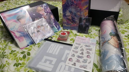 Customer photo review of Debut or Die - Novel