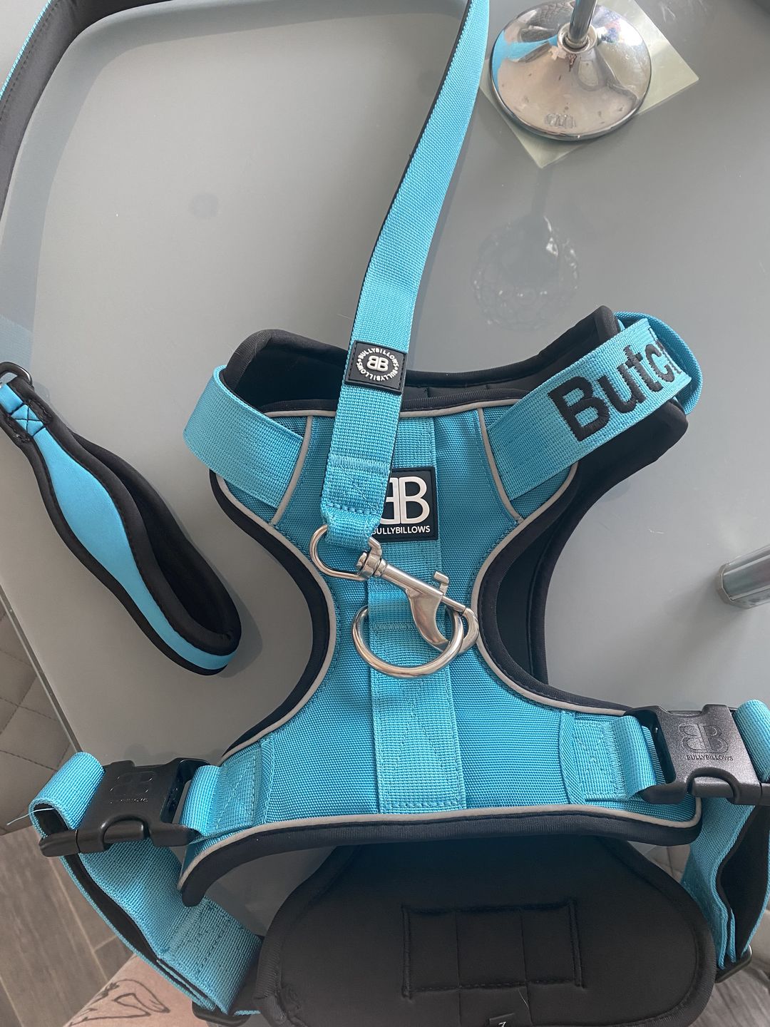 Customer photo review of Premium Comfort Harness | Non Restrictive & Adjustable - Light Blue
