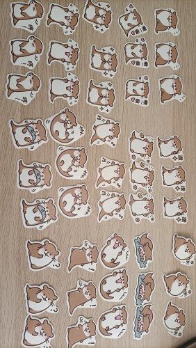 Customer photo review of Lovely Sea Otter Paper Stickers