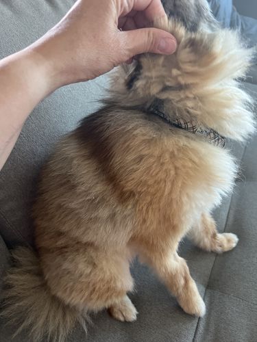 Customer photo review of ByteTag Slide