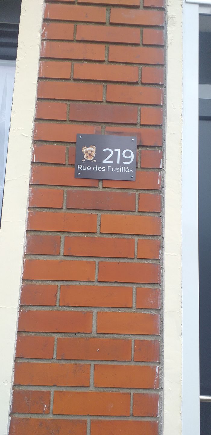 Customer photo review of Chiens curieux et numéro de maison - Plaque de porte personnalisée