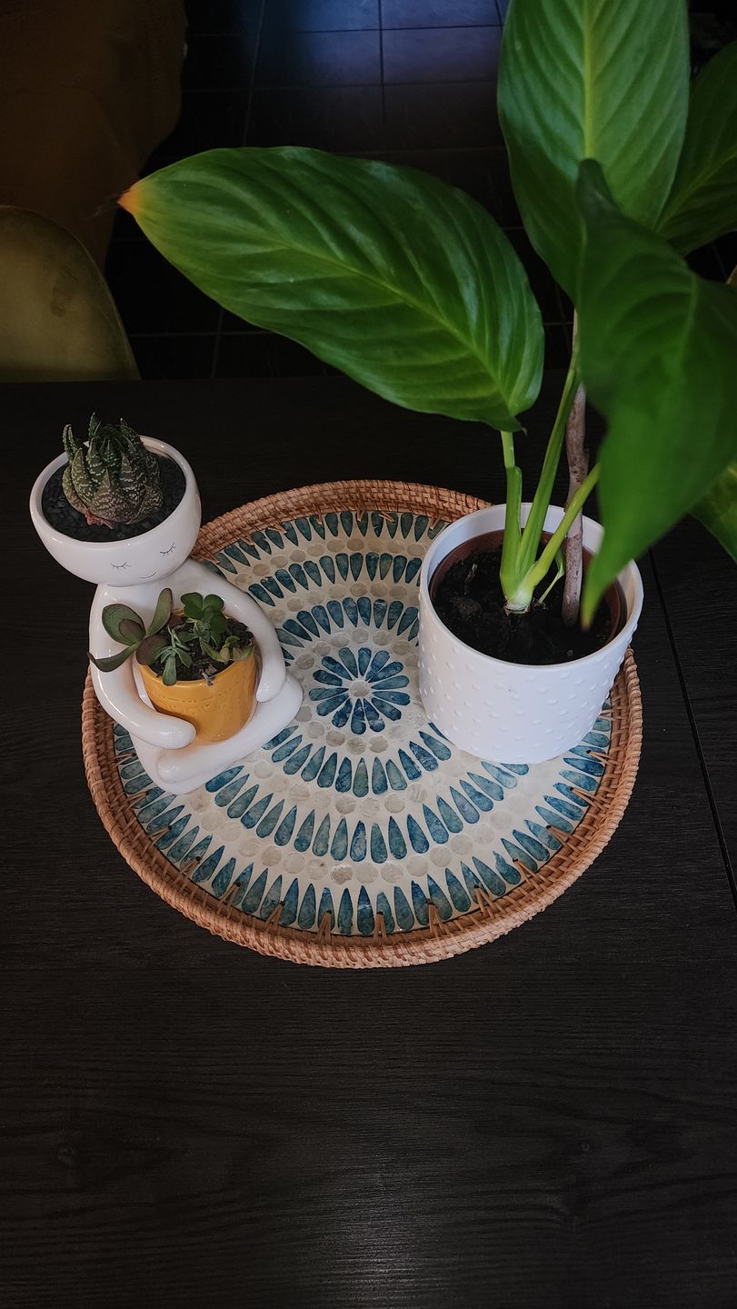 Customer photo review of Serene Round Rattan Display Tray