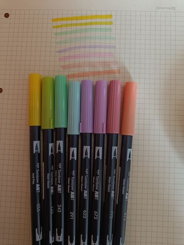 Customer photo review of Tombow ABT Dual Brush Pens