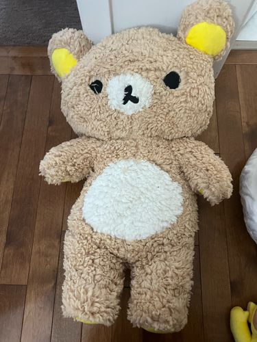 Customer photo review of Kawaii Rilakkuma Bear Plushie