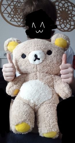 Customer photo review of Kawaii Rilakkuma Bear Plushie