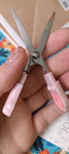 Customer photo review of Cat Paw Pen Style Scissors