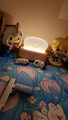 Customer photo review of Mini Toaster Desk Light