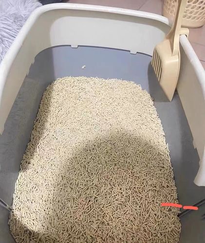 Customer photo review of Michu Tofu Cat Litter Gen3- Dust-Free and Natural Clumping Tofu-Based Formula for Easy Cleanup