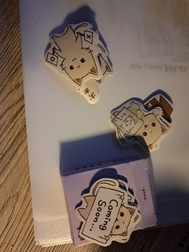 Customer photo review of Mr Paws Paper Stickers