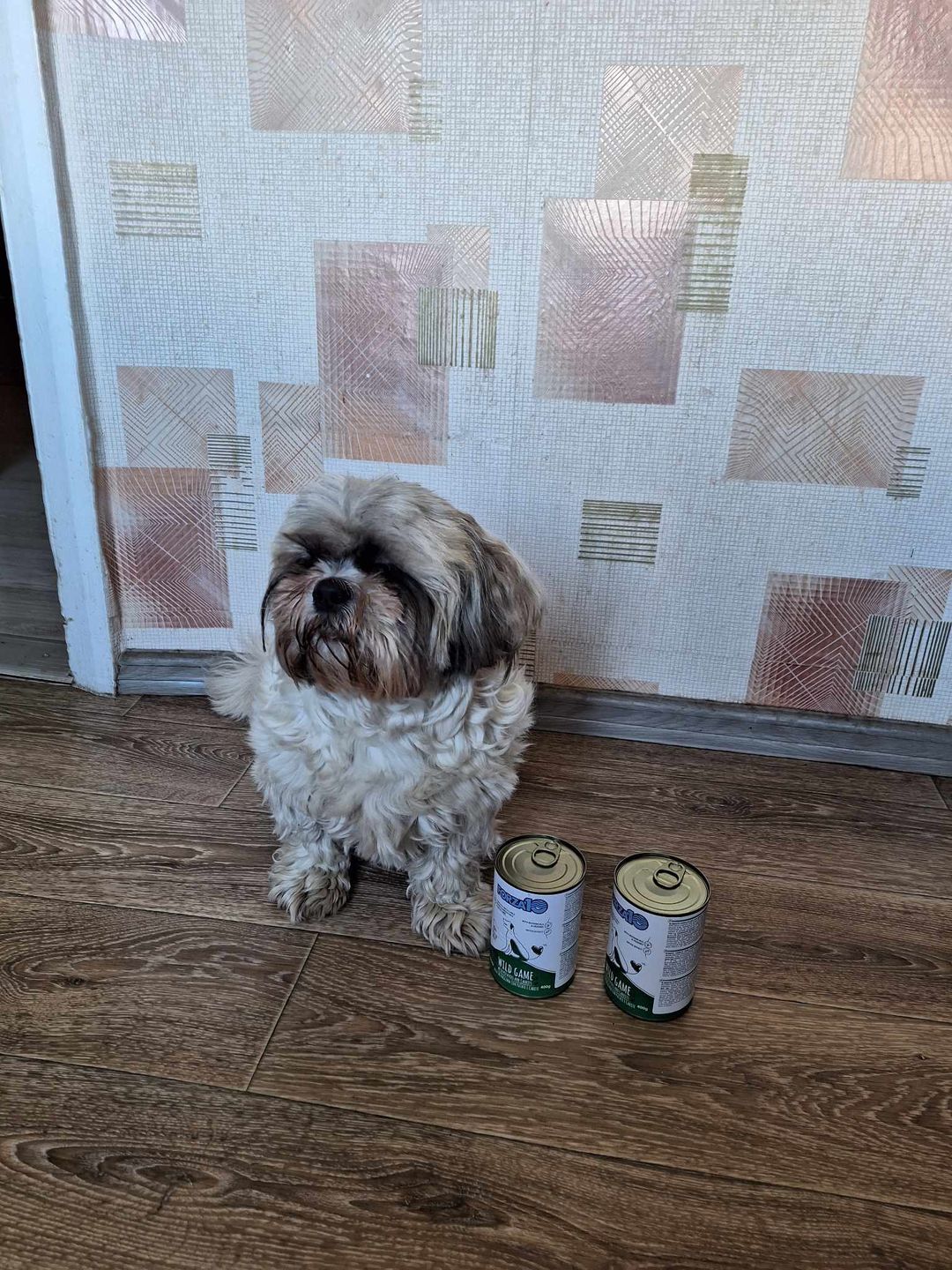 Customer photo review of Konservi suņiem ar LIELLOPU gaļu, kvinoju un ķirbi