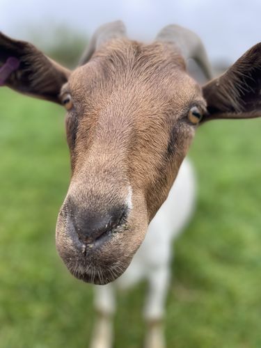 Customer photo review of Portable solar panel - Solar power bank charger