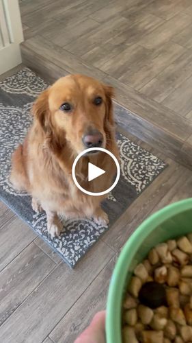 Customer video review of Golden Gravy