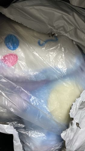 Customer photo review of Cinnamoroll Buddy Plushie