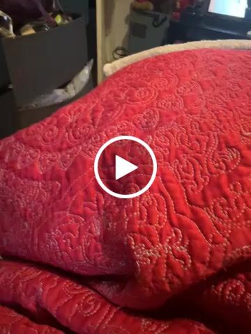 Customer video review of OKRA Refill Kit