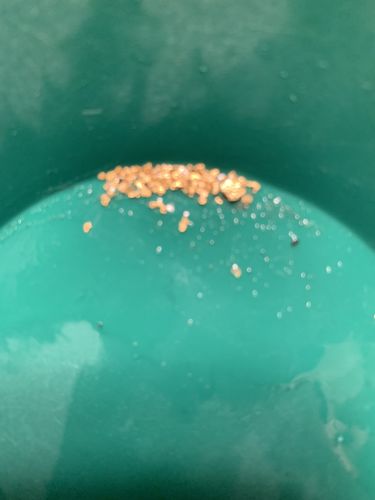 Customer photo review of *BOGO* Jackpot '$2K NUGGET RUSH' Gold Paydirt - *1 in 50 Bags Contains a Nugget Valued $2,000* - Jackpot Paydirt