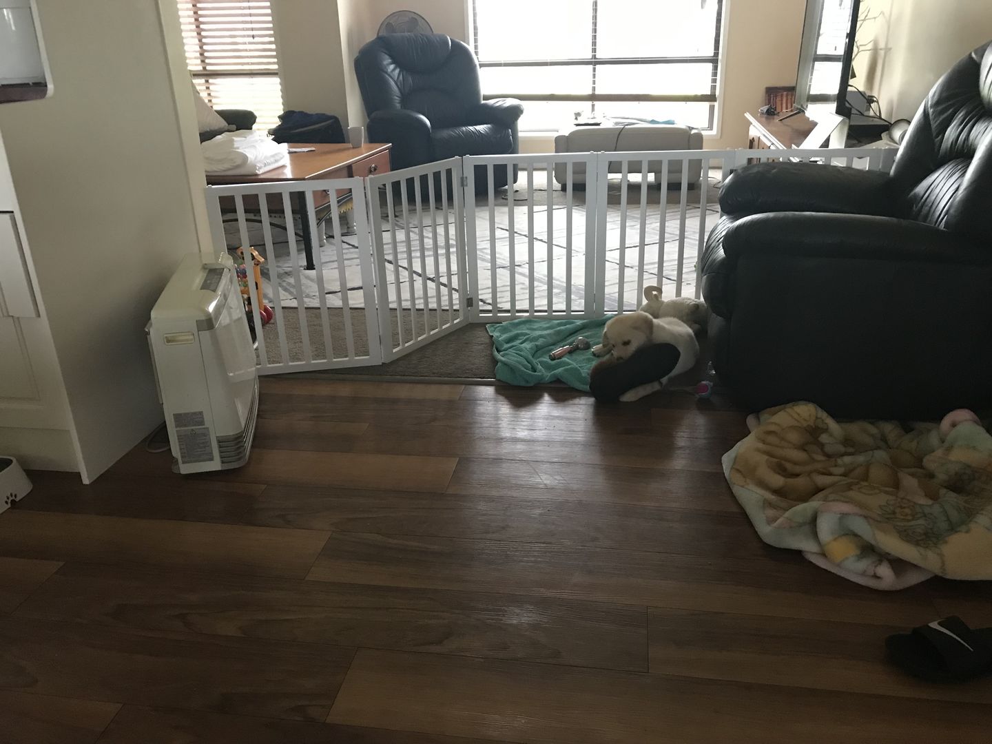 Customer photo review of Pawz Wooden Pet Gate