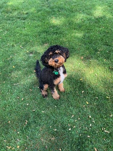 Customer photo review of ByteTag Slide