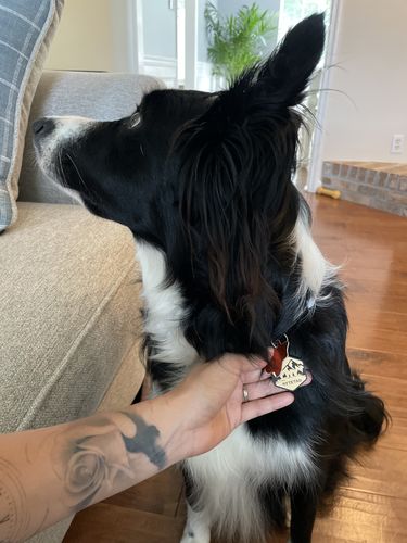 Customer photo review of Mountain Silicone