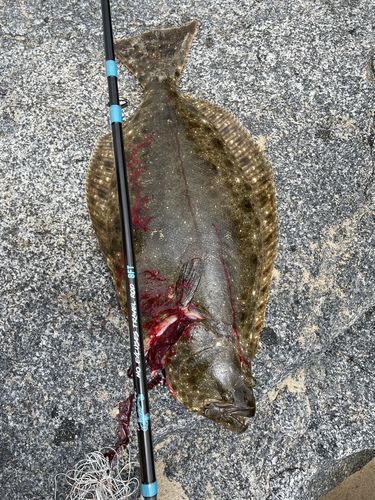 Customer photo review of 8Ft No Excuses Travel Rod with Tube Medium Action 1/2oz to 2oz