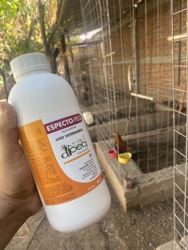 Customer photo review of Especto-Peq