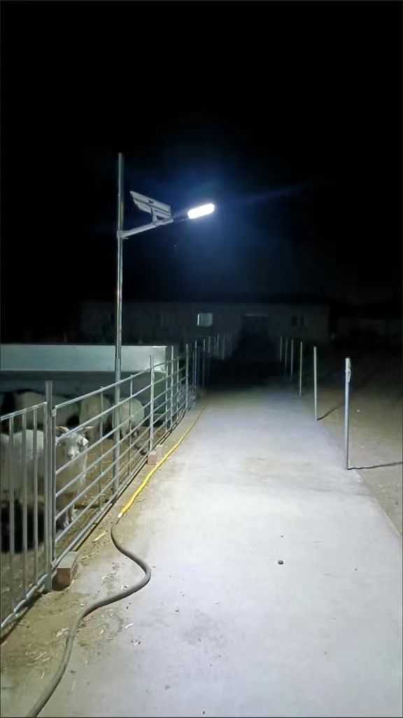 Customer photo review of Bright 400 W solar powered street lights for parking lots