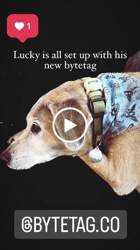 Customer video review of Explorer