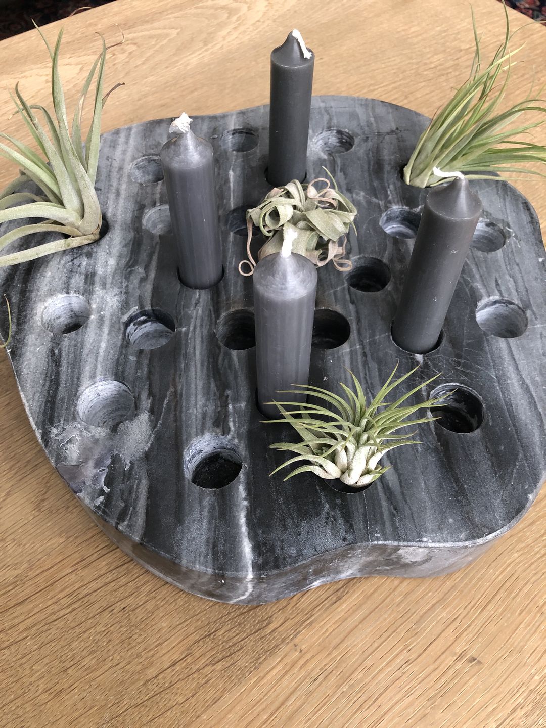 Customer photo review of Tillandsien Mix - B-Ware AKTION