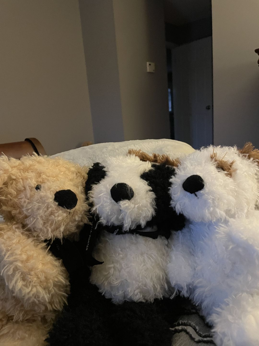 Customer photo review of McRuff Puppies