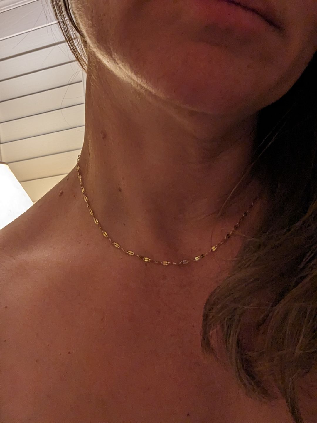 Customer photo review of Dainty Necklace