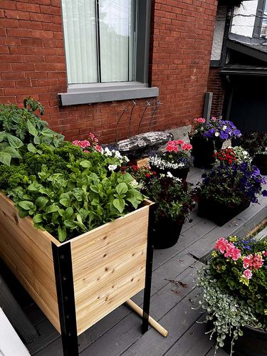 Customer photo review of 18" x 60" Raised Garden Bed