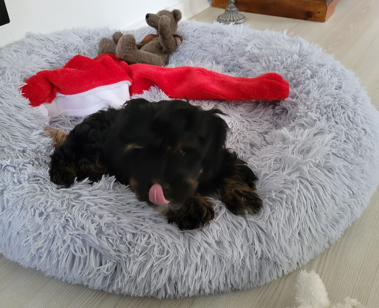 Customer photo review of THE ORIGINAL - Donut hundeseng (lys grå)