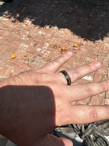 Customer photo review of Black Barrel