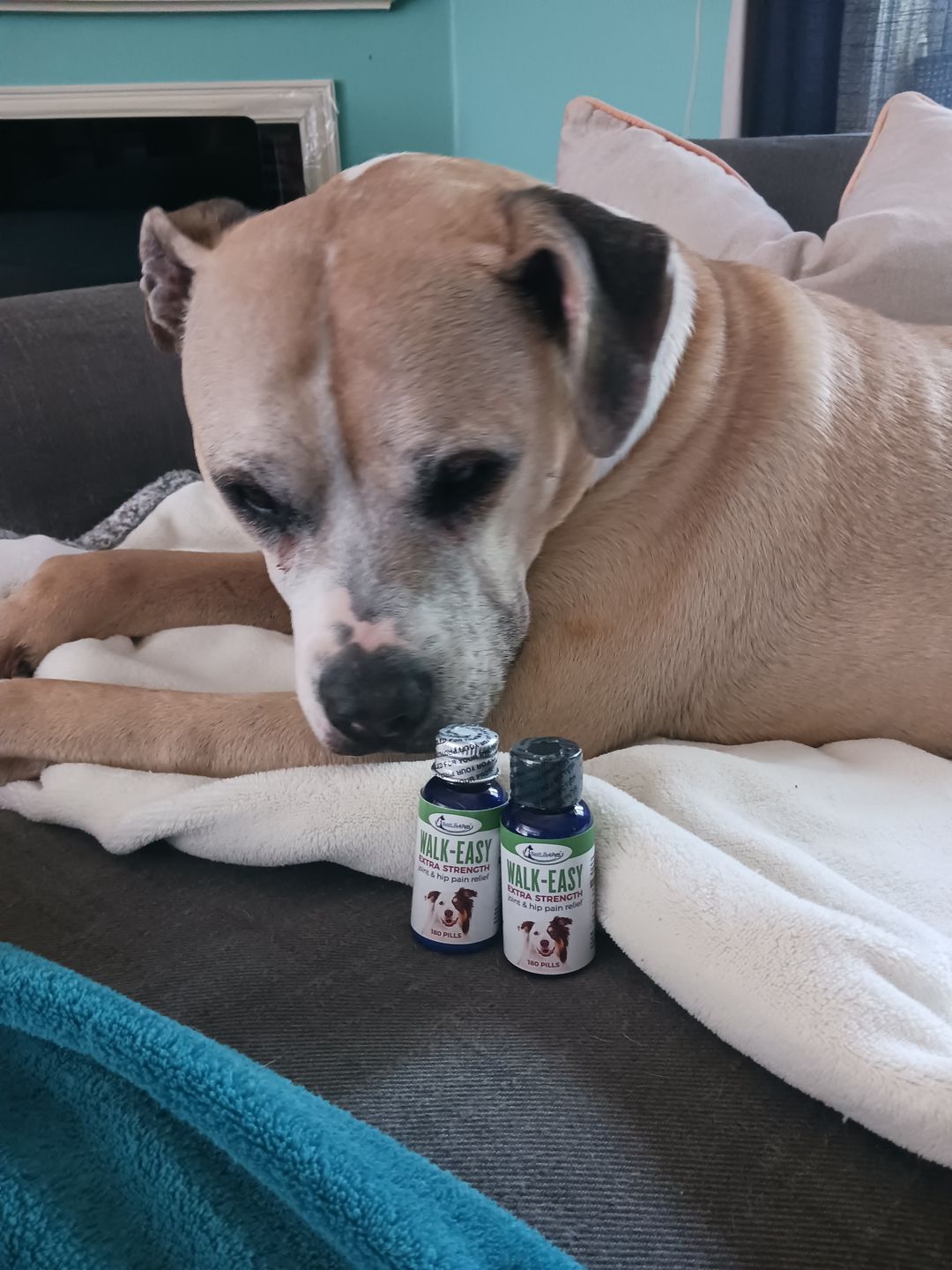 Customer photo review of WALK-EASY™ Extra Strength Natural Pain Relief for Dogs - Helps Dog Joint Pain, Arthritis, ACL, Limping and More