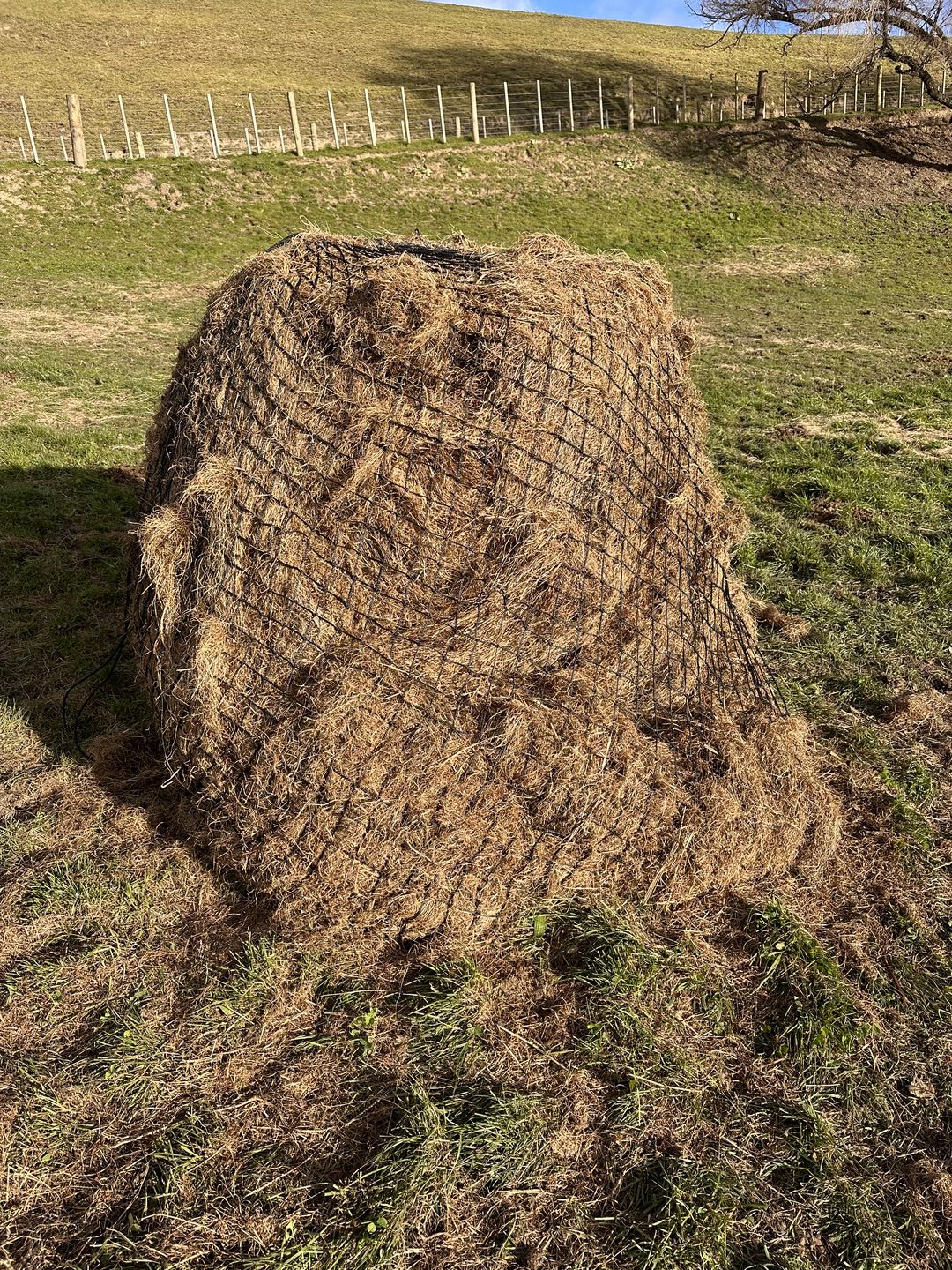 Customer photo review of Silage Bale Hay Net