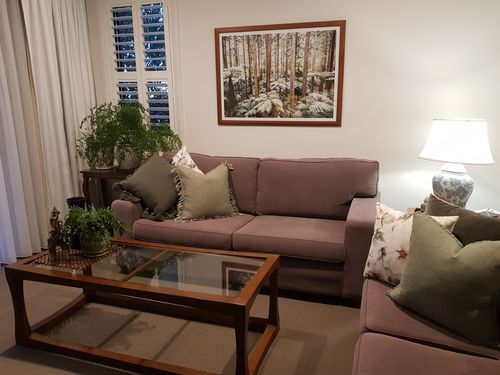 Customer photo review of Secret Of Forest