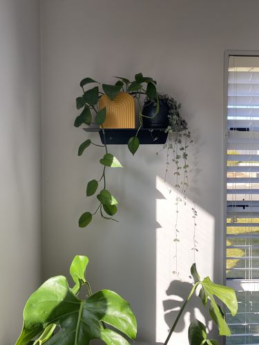 Customer photo review of FOLD Ledge 450