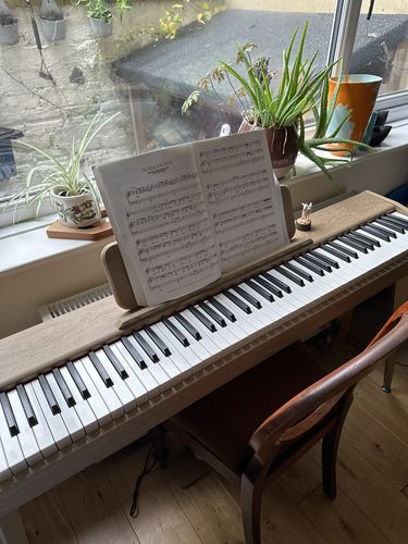 Customer photo review of Donner DDP-60 88-Key Semi-Weighted Upright Keyboard Piano