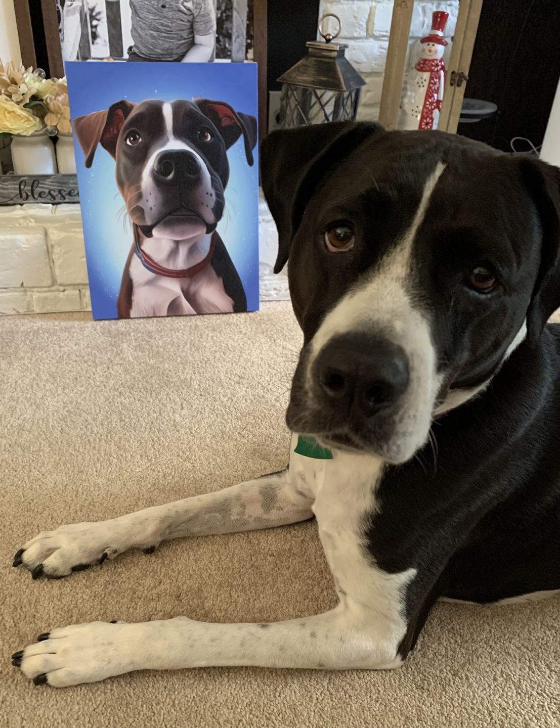 Customer photo review of Custom Pet Portrait