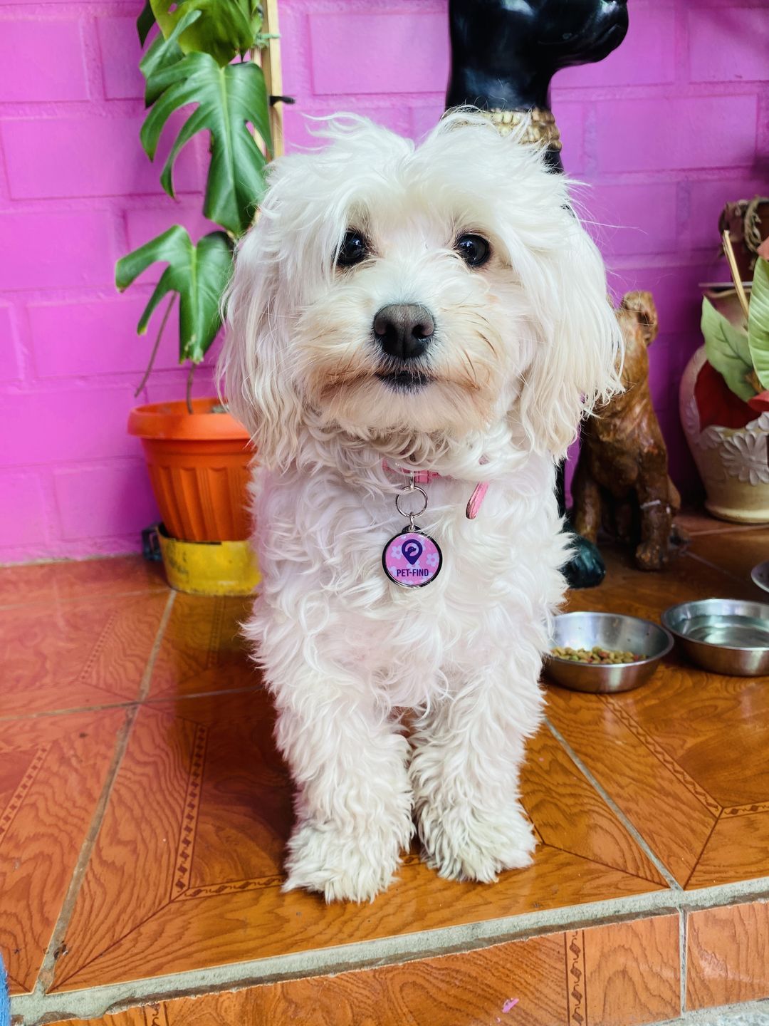 Customer photo review of Placa Rosada Flores