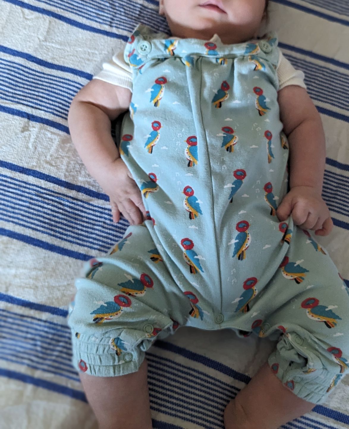 Customer photo review of Little Woodpecker Playdays Dungarees