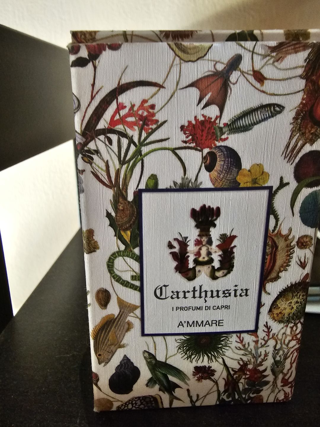 Customer photo review of CARTHUSIA - A'MMARE