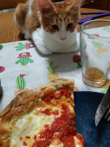 Customer photo review of Base "Classica"