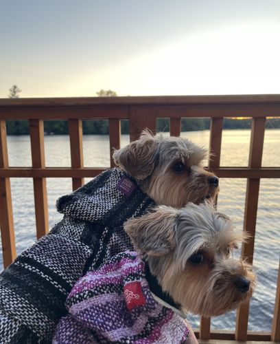 Customer photo review of Playa Poncho - Surprise Color